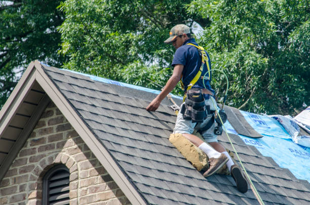 Best New Roof Installation  in Lafayette, OR